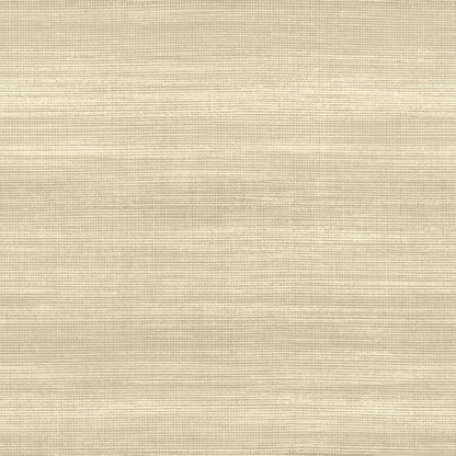 Papel Tapiz Líneas Premium